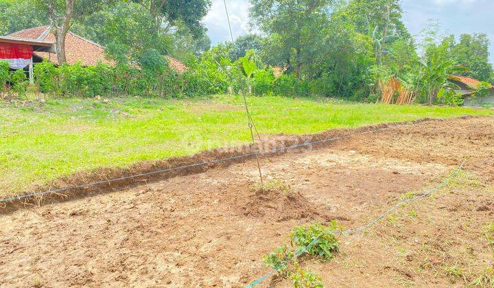 500 Rb-an Tanah Kavling View Sawah & Bukit. Bisa Dicicil 12x Bunga 0%