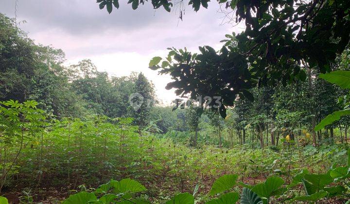 Tanah kavling Bisa Di Cicil 12x Tanpa Bunga, Dekat Citraland Cibubur 2