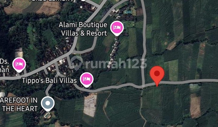 Tanah Tabanan Bali View Gwk Termurah