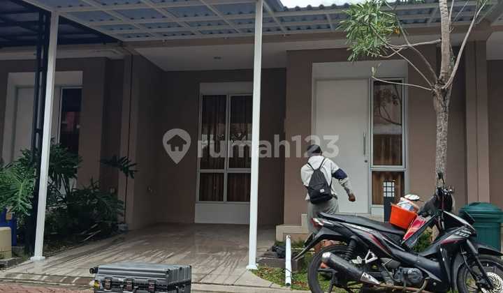 For Rent House In Milano Gading Serpong Padova
