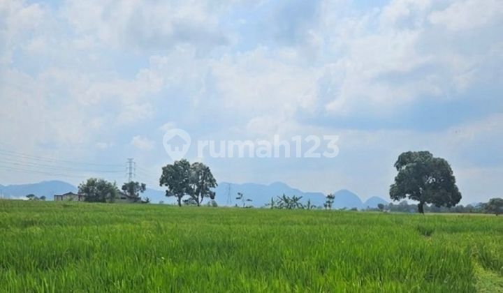 Dijual Kavling Komersial di Jalur Sumber - Majalengka, Cirebon