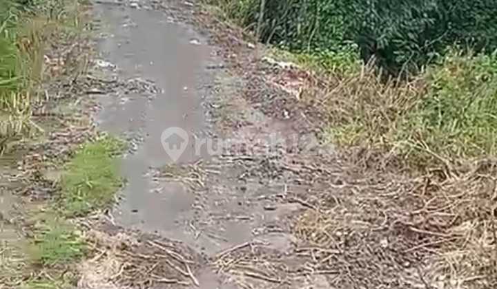 Sure Closing For Sale Land Location Pering Blahbatuh Gianyar
