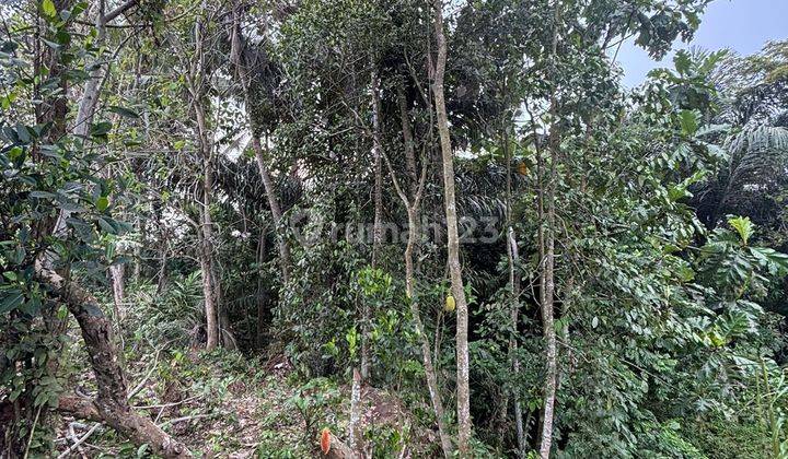 Pasyi Closing Di Sewakan Tanah Loss Sungai View Sawah Singapadu Kaler Sukawati Gianyar 2