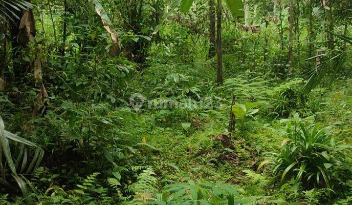 Pasti Closing Di Jual Tanah Lokasi Pejeng Ubud Gianyar  1