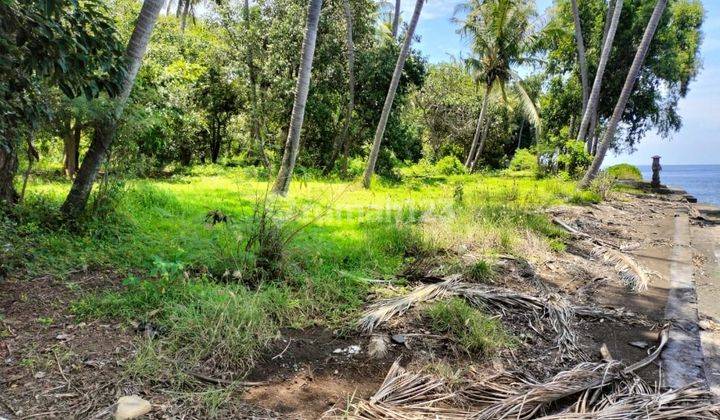 Pasti Closing Di Jual Tanah Loss Pantai View Laut Lokasi Tejakula Buleleng 1