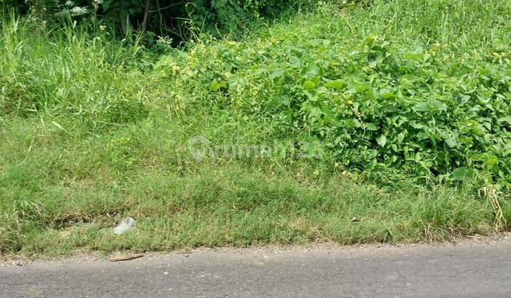 Pasti Closing Di Jual Tanah Lokasi Buwit Kediri Tabanan 1