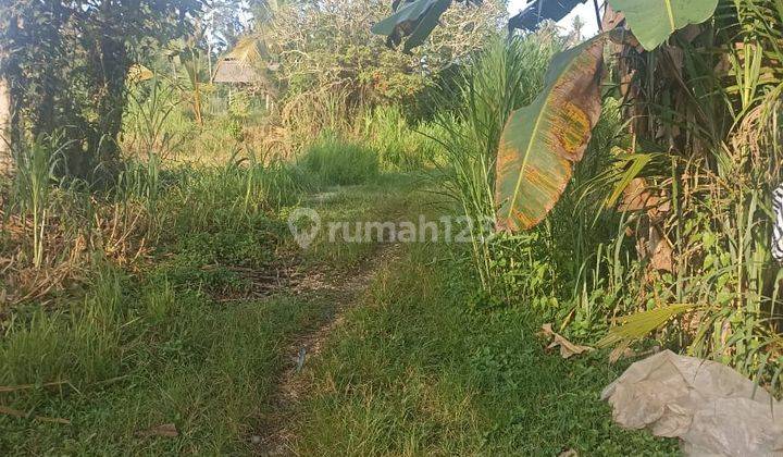 Pasti Closing Di Jual Tanah Loss Sungai Ayung View Lembah & Hutan Lokasi Carangsari Petang Badung 1