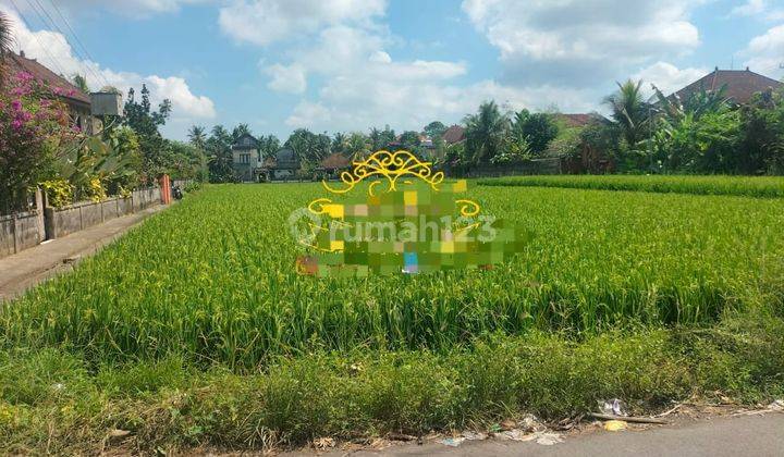 Pasti Closaung Di Jual Tanah Lokasi Peliatan Ubud Gianyar 1