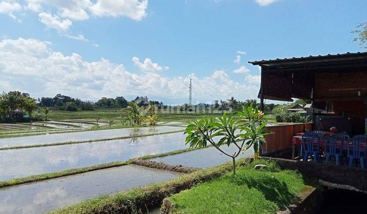 Pasto Vlosing Di Jual Tanah Lokasi Tanah Lot Kediri Tabanan  2