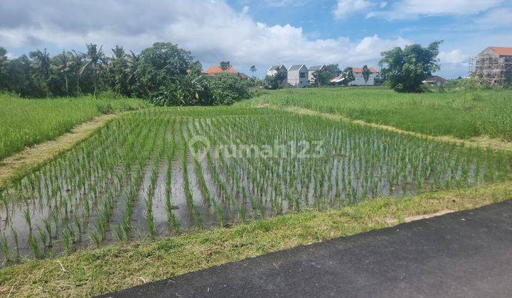 Pasti Closing Di Sewakan Tanah Lokasi Kedungu Belalang Tabanan 2