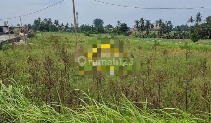 Pasti Closing Di Jual Tanah Lokasi Cemagi Mengwi Badung 2