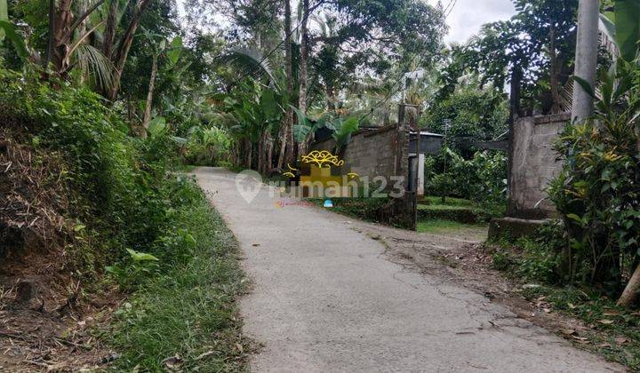 Pasti Clooaing Di Jual Tanah Lokasi Tatag Taro Tegallalang Ubud Gianyar 2