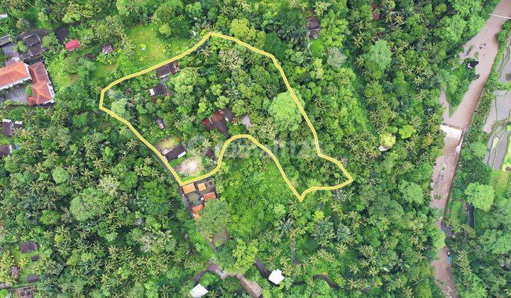 Pasti Closing Di Jual Tanah View Sungai Ayung & Hutan Lokasi Bongkasa Pertiwi Badung Dekat Ubud 2