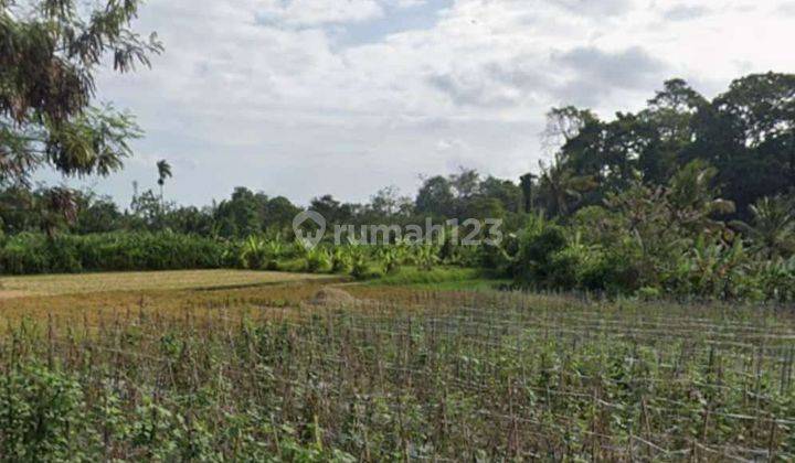 Pasti Closing Di Jual Tanah Lokasi Abiantuwung Kediri Tabanan 1