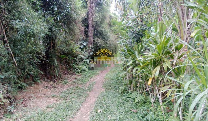 Pasti Clooaing Di Jual Tanah Lokasi Tatag Taro Tegallalang Ubud Gianyar 1