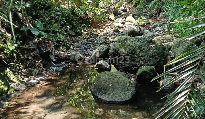 Pasti Closing Di Jual Tanah Loss Sungai View Sawah Lokasi Sidemen Karangasem 1