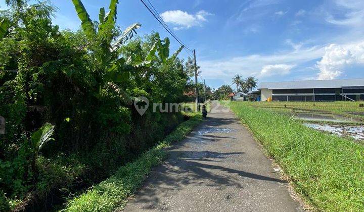 Pasti Closing Di Sewakan Tanah Lokasi Kedungu Belalang Tabanan 1