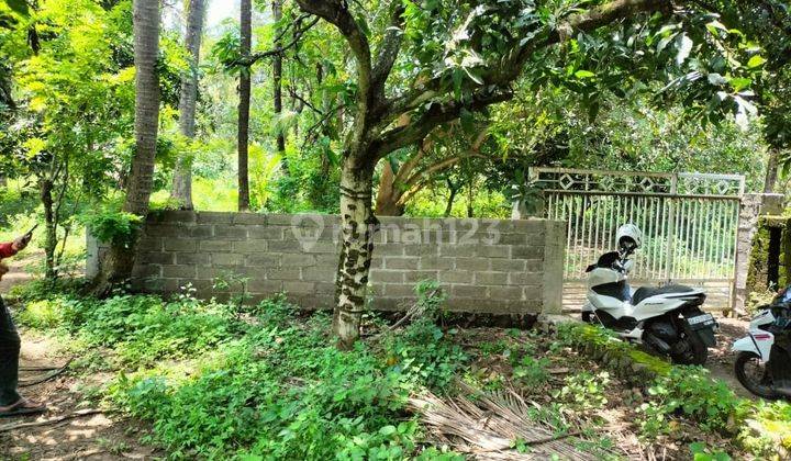 Pasti Closing Di Jual Tanah Loss Pantai View Laut Lokasi Tejakula Buleleng 2