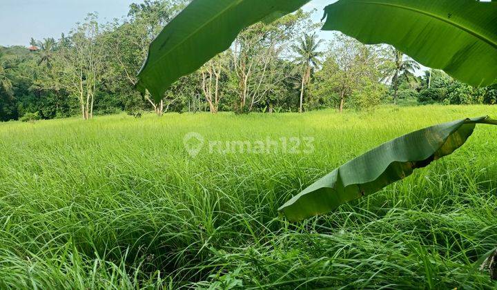 Pasti Closing Di Jual Tanah Lokasi Glumpang Sukawati Gianyar 1