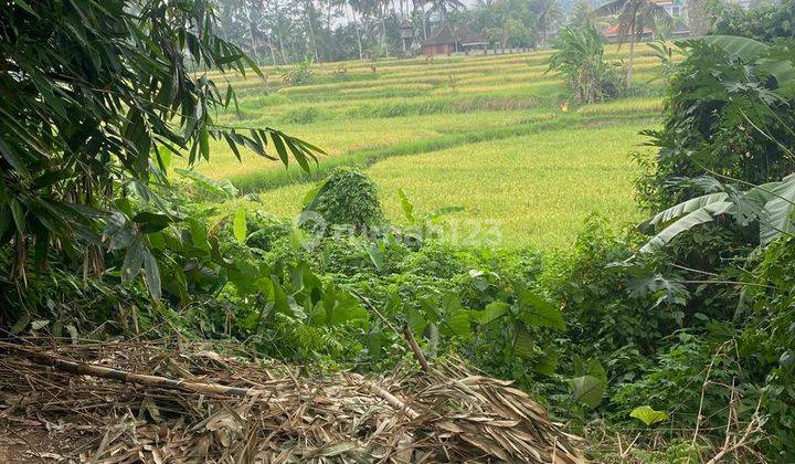 Pasti Closing Di Sewakan Tanah Lokasi Tirta Tawar Ubud Gianyar 1