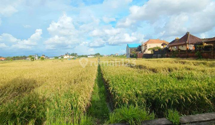 Pasti Closing Di Jual Tanah View Sawah Lokasi Singapadu Sukawati Gianyar 1