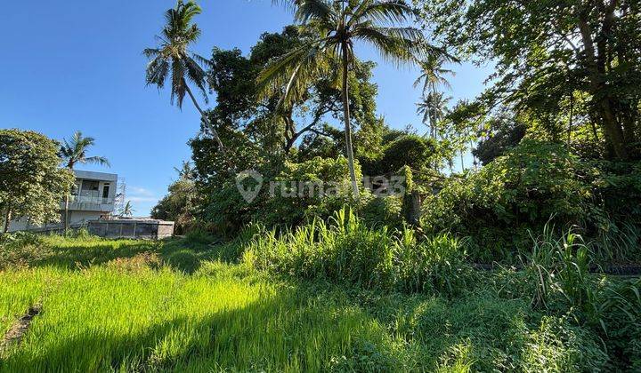 Pasti Closing Di Sewakan Tanah View Sawah Lokasi Singapadu Sukawati Gianyar 1