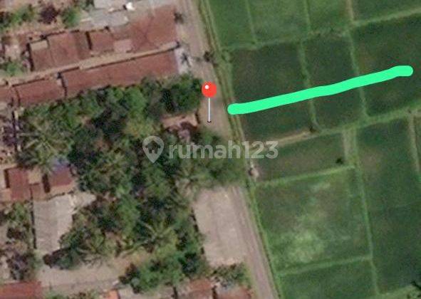 Pasti Closing Di Jual Tanah View Sawah Lokasi Payangan Ubud Gianyar 1
