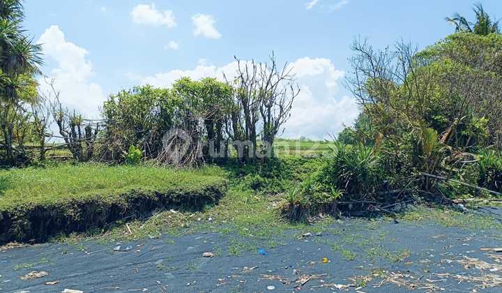 Pasti Closibg Di Jual Tanah Loss Pantai View Laut Lokasi Pasut Bagian Timur Ribu Biu Tabanan 2