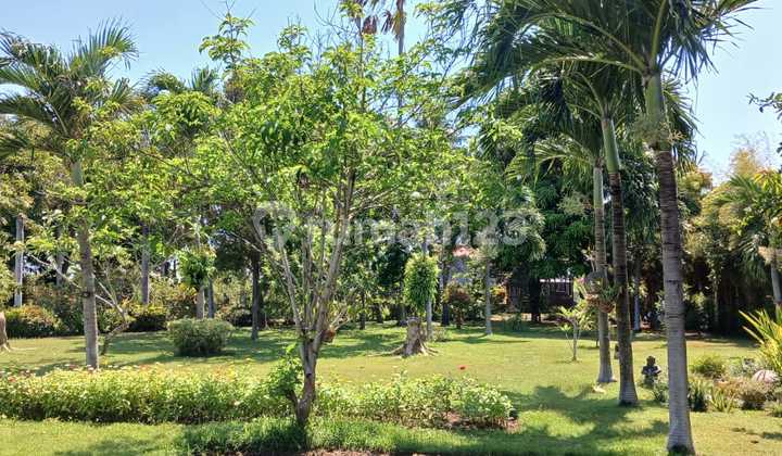 Pasti Closing Di Jual Rumah Lokasi Perean Pering Blahbatuh Gianyar 2