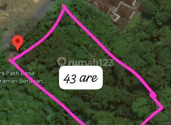 Pasti Closing Di Jual Tanah Loss Sungai Lokasi Pandak Gede Kediri Tabanan 1