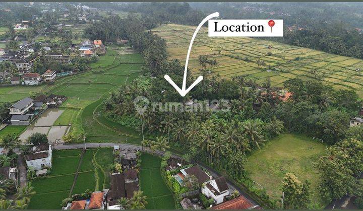 Pasti Closing Di Sewakan Tanah Lokasi Tirta Tawar Ubud Gianyar 1