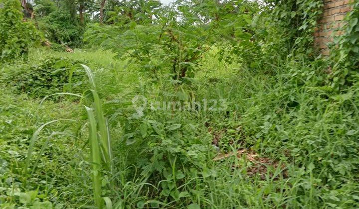 Pasti Closing Di Jual Tanah Pinggir Jalan Utama Lokasi By Pass Bitera Gianyar 1
