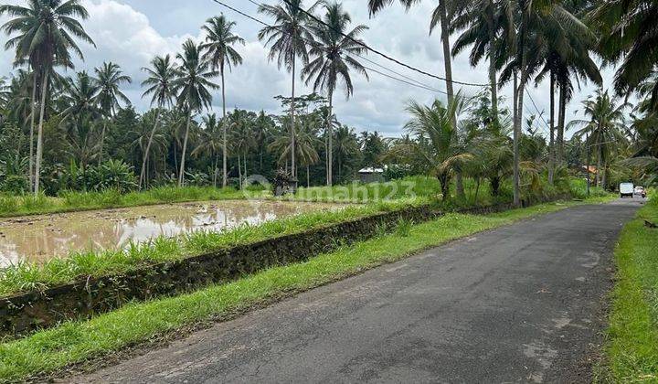 Pasti Closing Di Jual Tanah View Sawah Lokasi Taman Pungulbselat Abiansemal Badung 2