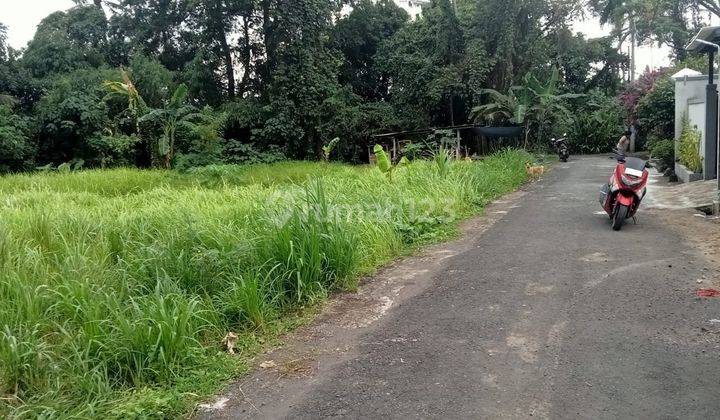 Pasti Closing Di Jual Tanah Lokasi Buruan Blahbatuh Gianyar 1