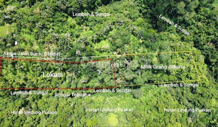 Pasti Closung Di Jual Tanah View Hutan Lembah & Sungai Lokasi Taro Tegallalang Ubud Gianyar 2