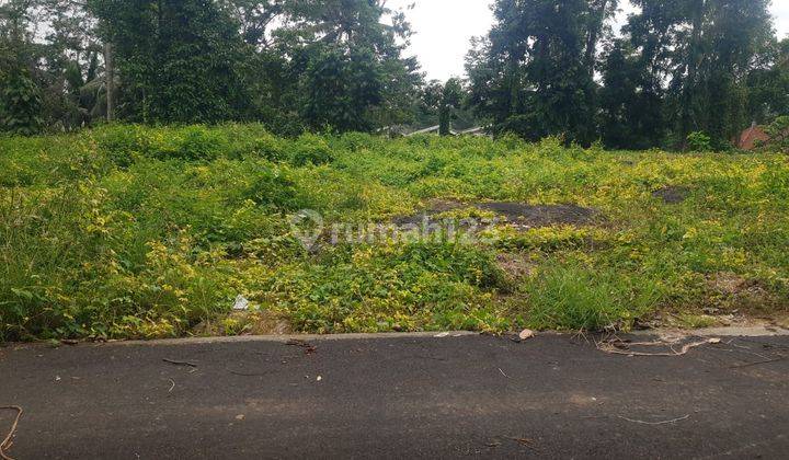 Pasti Closing Di Sewakan Tanah Lokasi Tegallalang Ubud Gianyar 1