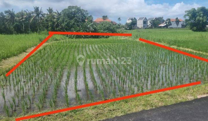 Pasti Closing Di Sewakan Tanah Lokasi Kedungu Belalang Tabanan 1