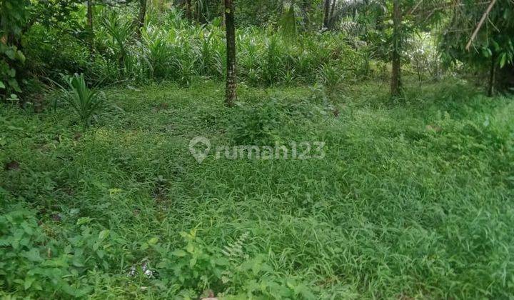 Pasti Closing Di Jual Tanah Lokasi Mambal Abiansemal Badung 1