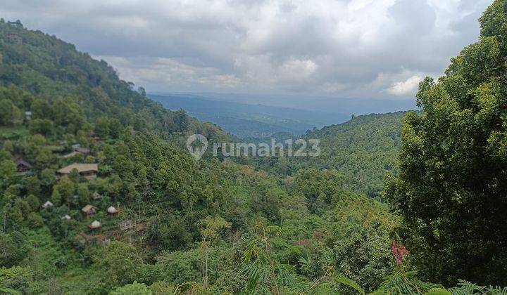 Pasti Closing Di Jual Tanah Kebun Kopi & Cengkeh Lokasi Gobleg Munduk Banjar Buleleng 1