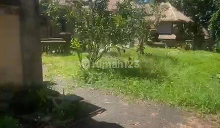 Pasti Closing Di Sewakan Tanah Bekas Resort View Hutan & Sungai Petanu Lokasi Andong Ubud Gianyar 1