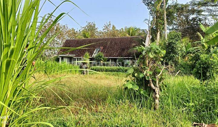 Pasti Closing Di Jual Tanah Lokasi Pejeng Kangin Ubud Gianyar 2