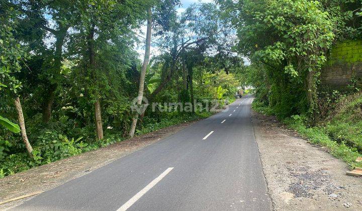 Pasti Cloaing Di Sewakan Tanah Lokasi Nyanyi Beraban Tabanan 1