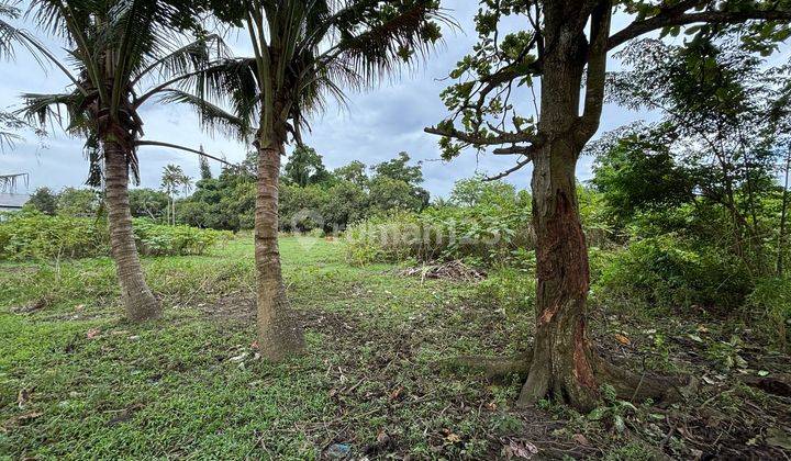 Pasti Closing Di Sewakan Tanah View Sawah Singapadu Kaler Sukawati Gianyar 1