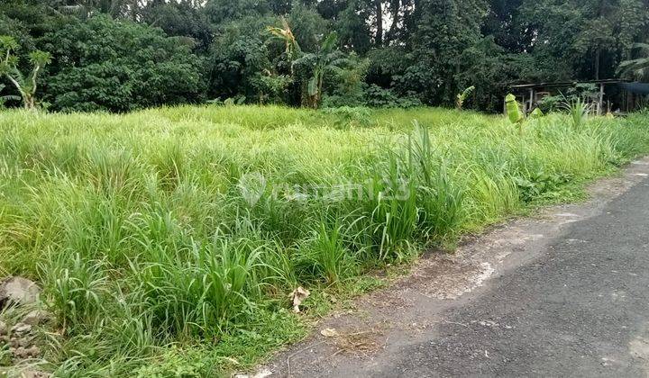 Pasti Closing Di Jual Tanah Lokasi Buruan Blahbatuh Gianyar 2