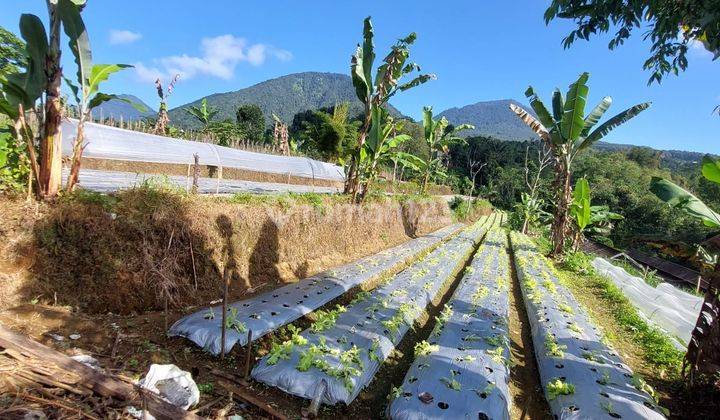 Pasti Closing Di Jual Tanah Lokasi Andong Baturiti Tabanan 1