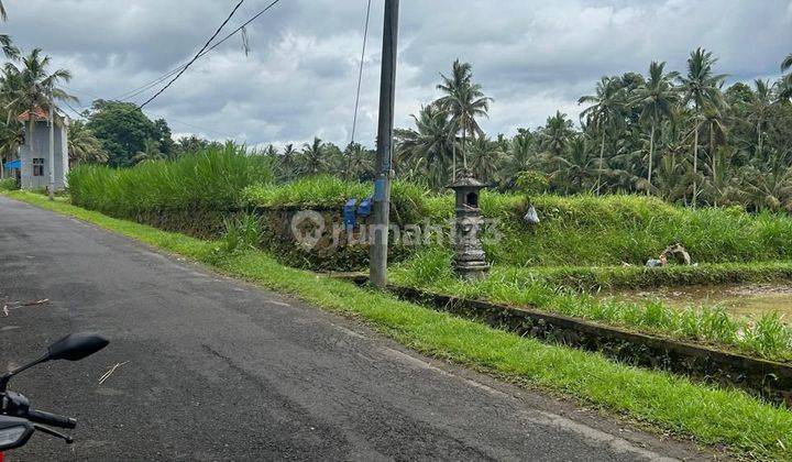 Pasti Closing Di Jual Tanah View Sawah Lokasi Taman Pungulbselat Abiansemal Badung 1