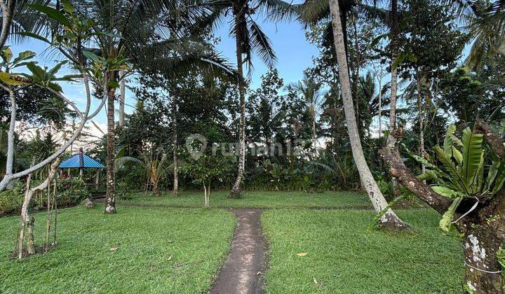 Pasti Closing Di Sewakan Tanah View Hutan Lokasi Pejeng Ubud Gianyar 2