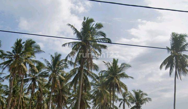 Pasti Vlosing Di Sewakan Tanah Lokasi Pangkung Tibah Tabanan 1