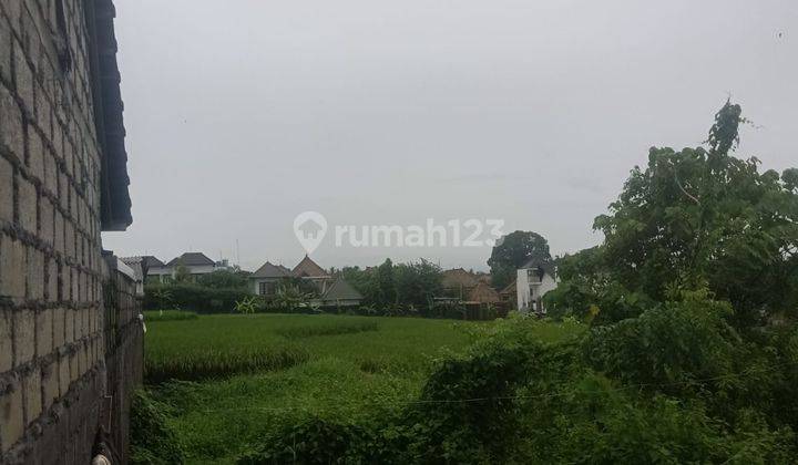 Pasti Closing Di Jual Tanah Pinggir Jalan Lokasi Lodtunduh Ubud Gianyar 2