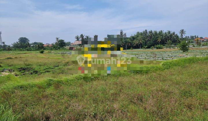 Pasti Closing Di Jual Tanah Lokasi Cemagi Mengwi Badung 1